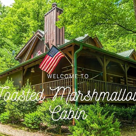 Pigeonforge Cabin Game Roomdog Friendlyhot Tub ピジョンフォージ エクステリア 写真
