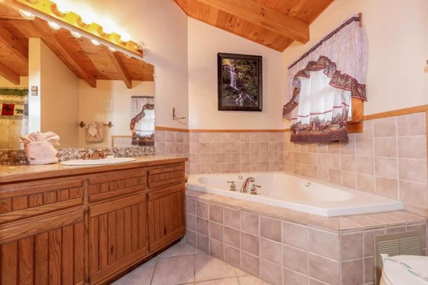 Pigeonforge Cabin Game Roomdog Friendlyhot Tub ピジョンフォージ エクステリア 写真