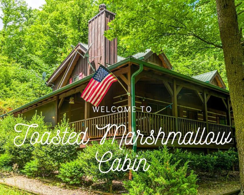 Pigeonforge Cabin Game Roomdog Friendlyhot Tub ピジョンフォージ エクステリア 写真